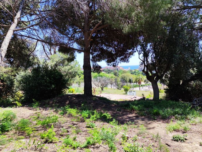 SOLAR TERRENO MATARO CENTRO COMPRAR EN VENTA LLARS MONTGAT (29)