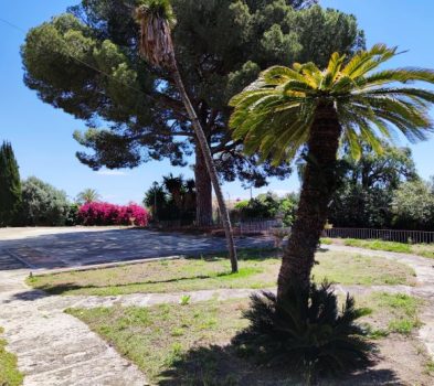 SOLAR TERRENO MATARO CENTRO COMPRAR EN VENTA LLARS MONTGAT (11)