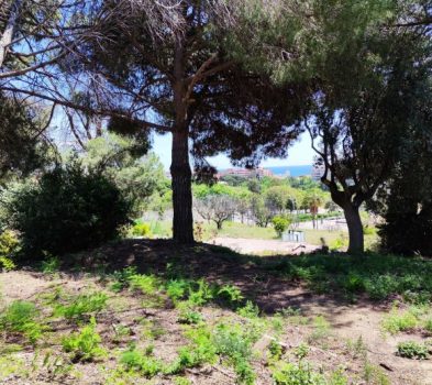 SOLAR TERRENO MATARO CENTRO COMPRAR EN VENTA LLARS MONTGAT (29)